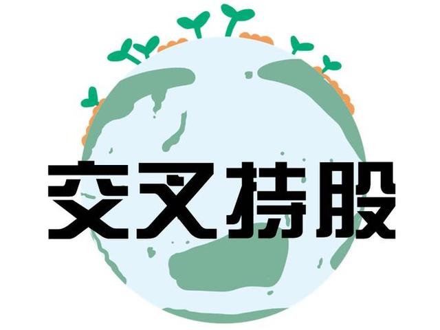 交叉持股安排设计(交叉持股怎么计算持股比例)玉林市